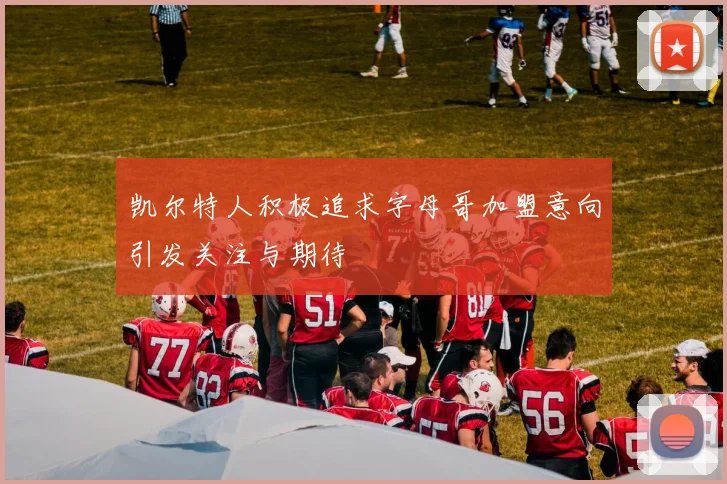 凯尔特人积极追求字母哥加盟意向引发关注与期待
